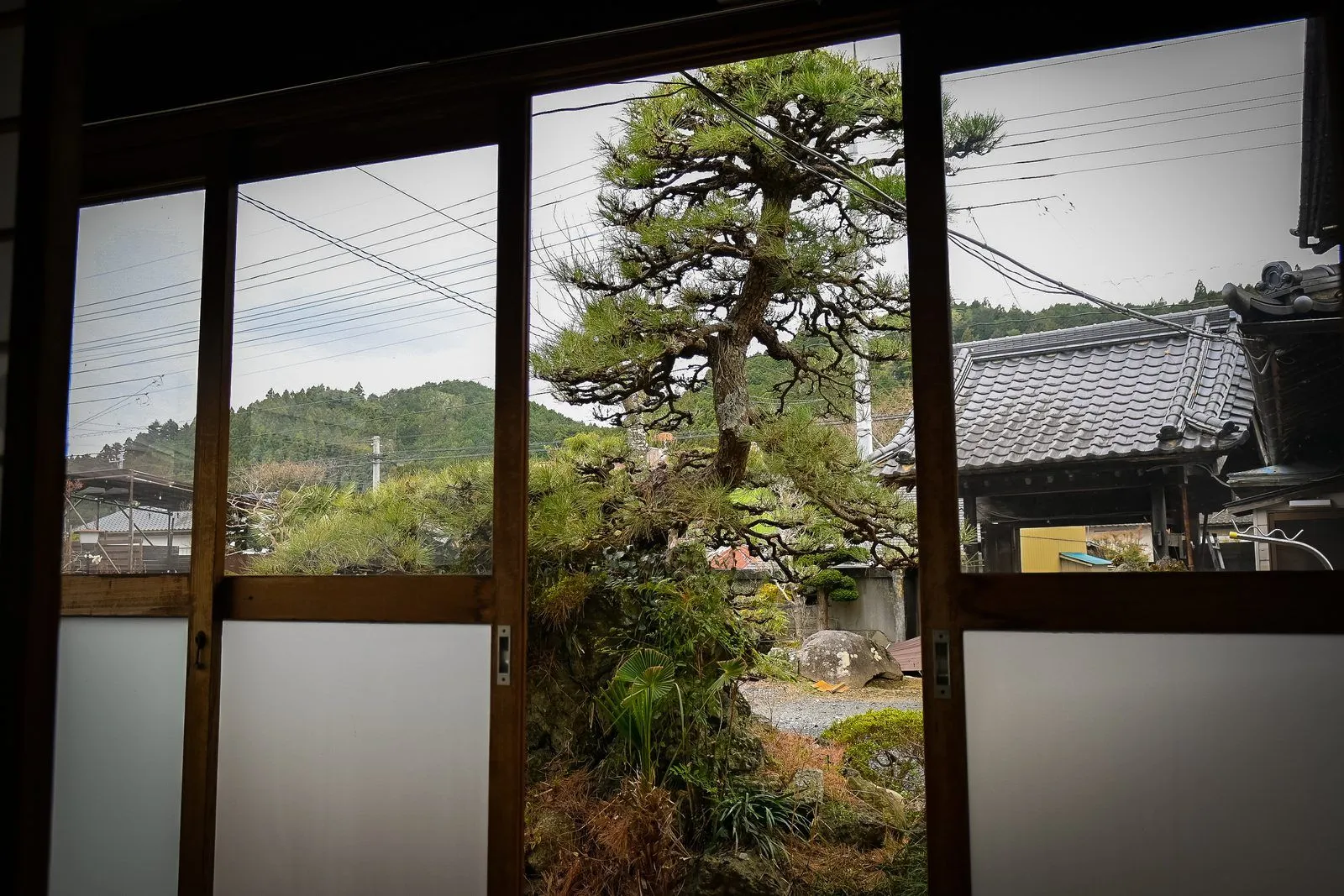 窓の外の松と、里山の景色