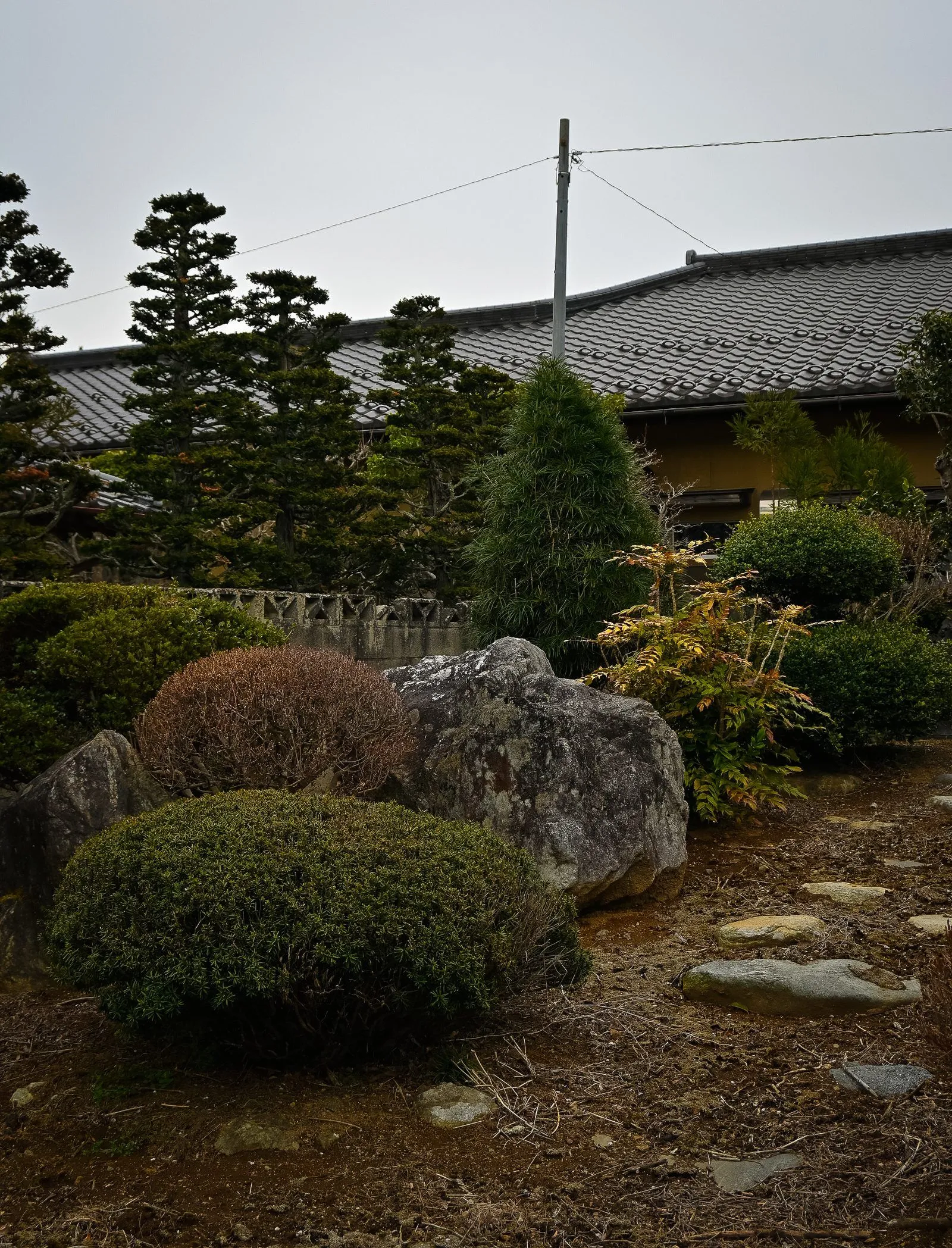 刈り込まれた植え込みと庭石